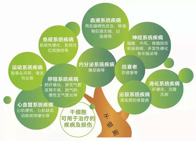 赛托森丨干细胞征服人类两大天敌衰老及慢性疾病