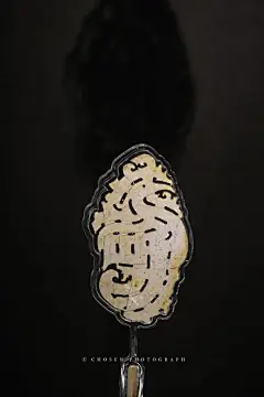 石家河文化，新石器时代晚期长江中游地区的一个代表性文化，文化遗存以各类玉器闻名，虽不如红山、良渚、凌家滩这些有名，但却博采众长且承上启下，留存下来的玉器不但精美，还是同时期各种文明交流互鉴的印证，历史价值很高。图中的两件透雕玉凤、玉龙是展览中的精品文物。