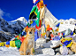 Rescued Puppy Becomes First Dog to Climb Mount Everest