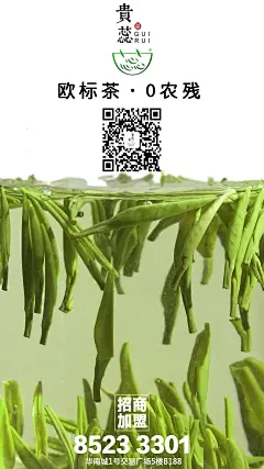贵州贵蕊头芽 2017新茶上市 扫公众号可免费品尝