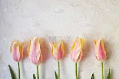 贺卡,节日,纹理,春天,四月,母亲节,六月,七月,花,装饰