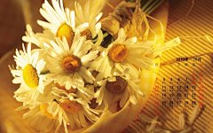 高清2010年10月花卉宽月历壁纸桌面壁纸4