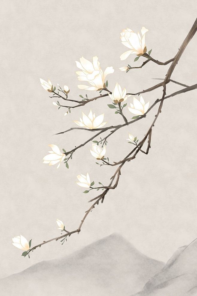 古风花绘之玉兰花
