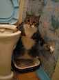 O.O你在厕所里干什么呢...