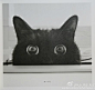 《本日のスープ》，一本拍得很有趣的黑猫写真集。