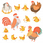 母鸡和公鸡，家养农场动物卡通矢量图
