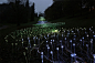 三千梦幻世界 灯光艺术家 Bruce Munro