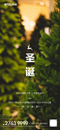圣诞节简约海报