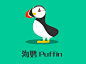 小萌物 海鹦 Puffin