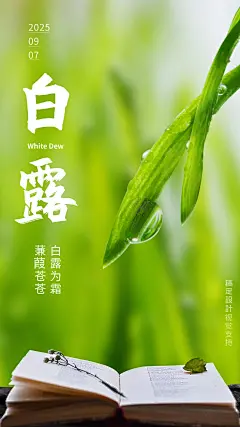 白露手机全屏转发宣传海报