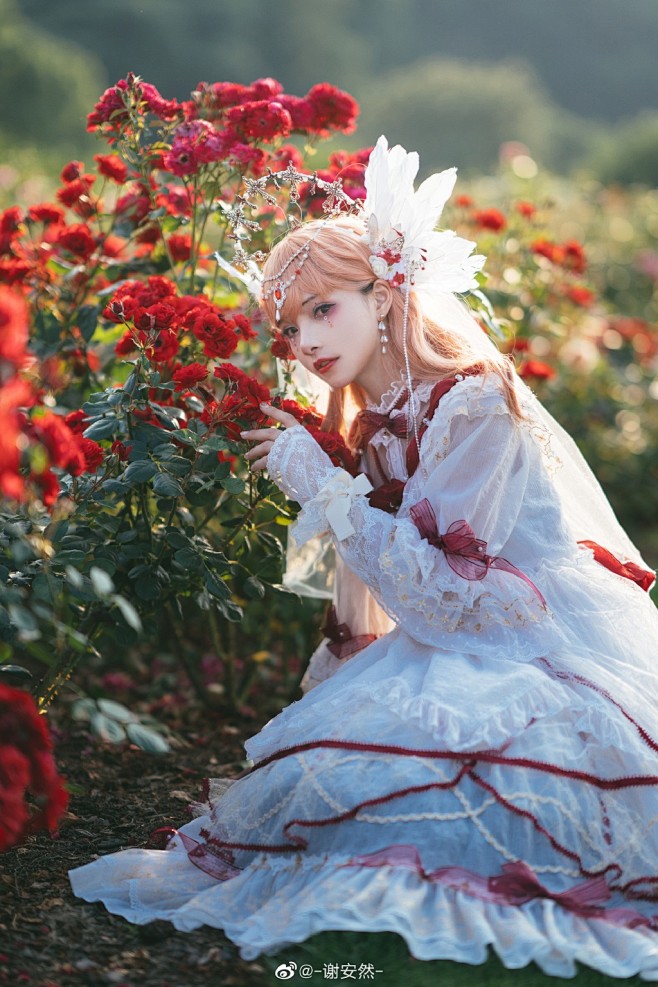 谢安然lolita (565)