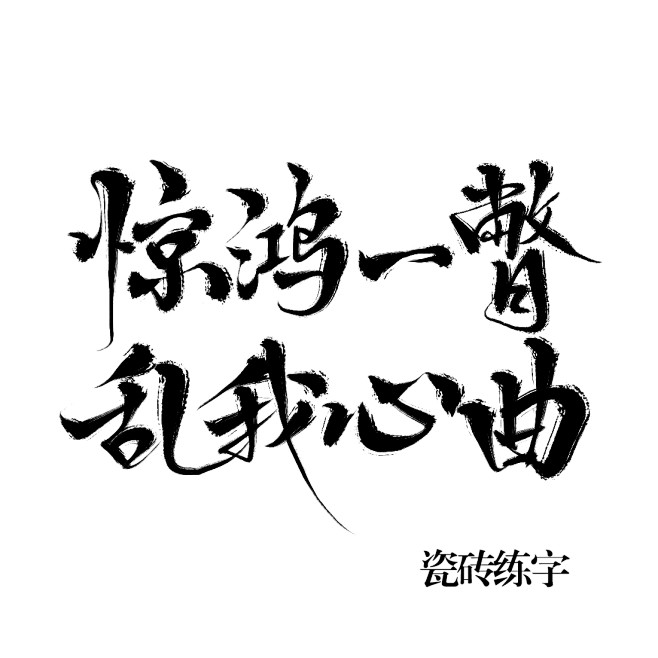 惊鸿一瞥乱我心曲