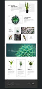 植物元素网页设计 ​​​​