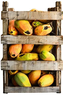 水果框里的一堆木瓜水果图片