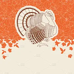 火鸡鸟为感恩节贺卡的文字或设计