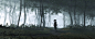 一般 2048x868 视频游戏 PlayStation 视频游戏艺术 对马岛的幽灵