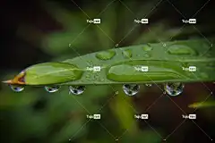 雨 酷背景 4K壁纸 4K壁纸1920X1080 雨滴 水滴