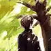 戟战清风