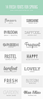 很多很多好看的英文字体～#字体设计##英文字体设计# ​