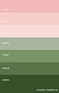 Light Pink and Green ― Color Scheme 45
