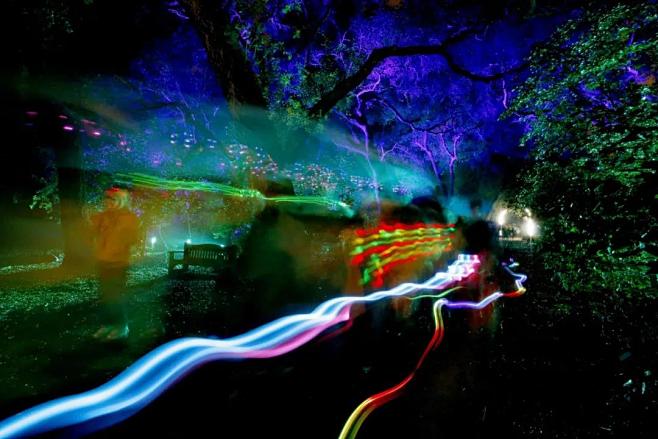 加拿大魔法森林灯光秀