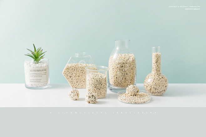 Miarko 米亚舟  宠物用品拍摄 猫...