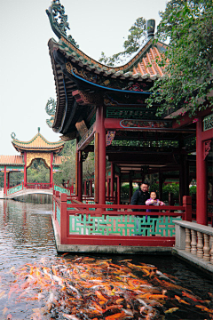 骑猫闯关采集到风景