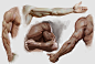 Study of arms