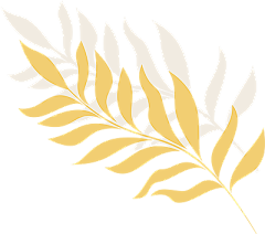 Kelseyrish采集到花草类