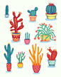盆栽 仙人掌 仙人球 蟹爪兰Cactus! by Jessica HJ Lee, via Behance