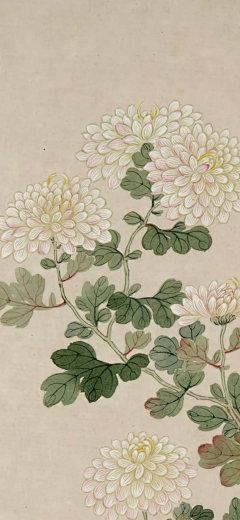 FORST'SDESCENT采集到画芯