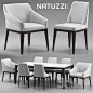                                     Table and chairs Natuzzi minerva, Saturno, Vesta
                                