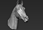 horse head, Dmitrii Prosov