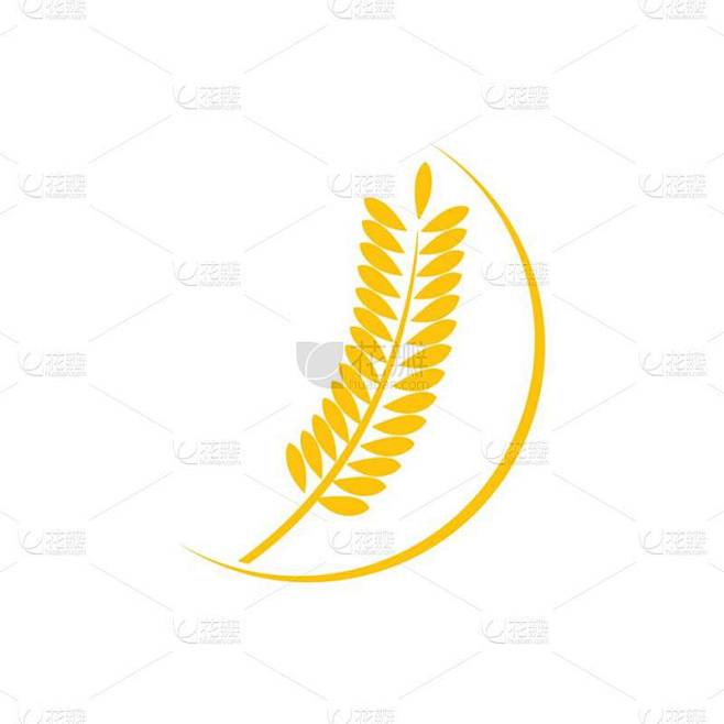燕麦插图标识矢量设计
