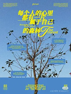 小红书采集 (30)