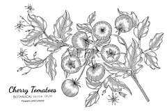 蜗牛品牌设计采集到插画