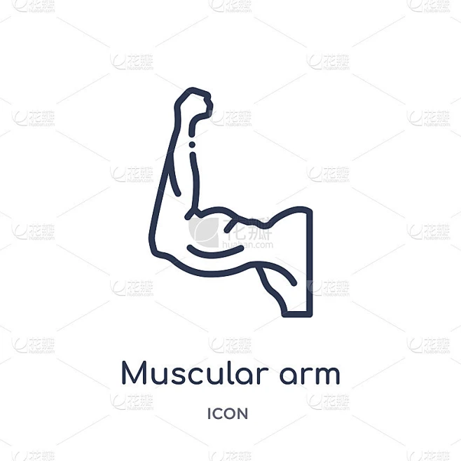 Linear muscular arm icon from Human body parts out素材-花瓣网