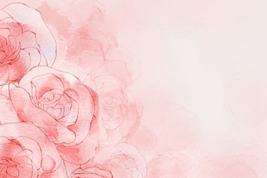 粉色玫瑰花唯美氛围意境花瓣手绘插画背景几...