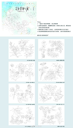 成功扑倒的弟弟采集到木实君