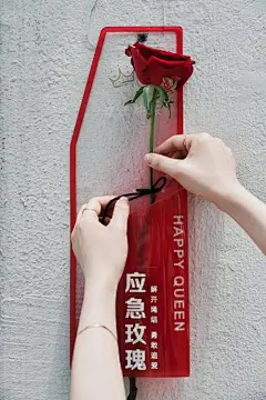 应急玫瑰_百度图片搜索