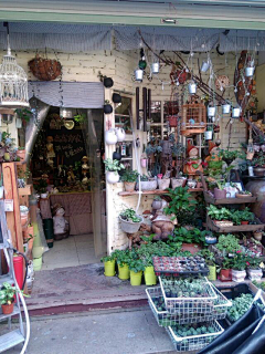 湘湘子采集到花店