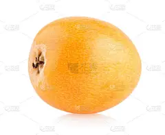 新鲜成熟的枇杷