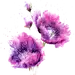 水彩绘画 - 水彩紫色花_爱集网(aiji66.com)