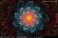 木木木木头呀采集到花光效