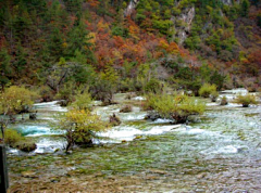 braintwist采集到九寨沟旅游_九寨沟旅游攻略_九寨沟图片_九寨沟门票价格