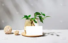 在带有阴影的灰色背景、稻草球、花瓶里的一株植物和空白的白色卡片上插入文本。业务模板。布局