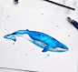 多款超好看的水彩动物鲸鱼纹身手稿