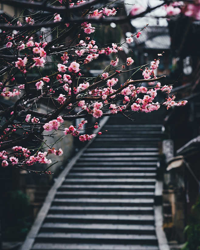 Kyoto by Takashi Yas...