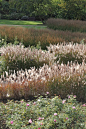 The Savill Rose Garden by Andrew Wilson and Gavin McWilliam of Wilson McWilliam Studio