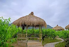 【美丽乡村】仙居下各镇新路村小清新扑面来袭